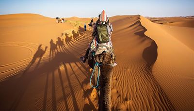 rygsæk, horisont, karavane, kamel, hals, sand, skygge, ørken, dyne
