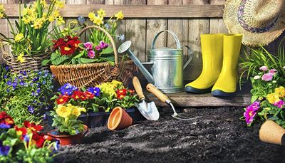 vandkande, havearbejde, gummistøvler, urtepotte, påskelilje, jord, blomster, paletkniv
