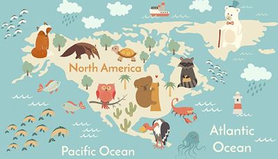 ugle, verdenshave, vaskebjørn, isbjørn, myresluger, skildpadde, kaktus, gople, dampskib, grønland, fyrtårn, amerika, koala