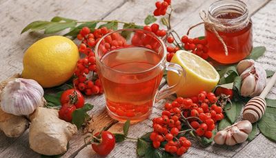 lemon, traditionalmedicine, rowanberries, rosehip, garlic, honey, infusion, leaves, ginger, bow