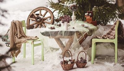 patins, panier, sapin, neige, chaise, table, plaid, roue