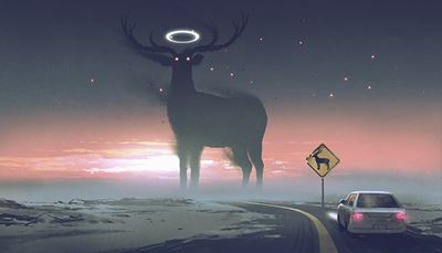 oznake, jelen, dugosvjetlo, noć, automobil, aureola, plakat, cesta