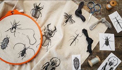 scarabeo, phasmatodea, mandibola, antenne, insetto, ricamo, telaio, tessuto, ago, forbici, filo