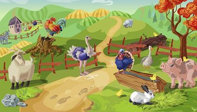 pštros, ošípaná, králik, kuriatko, moriak, kopec, peň, kohút, farma, ovca, koza, plot