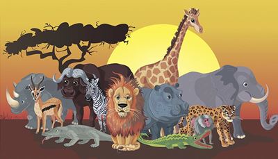 ippopotamo, rinoceronte, coccodrillo, bufalonero, leopardo, elefante, gazzella, giraffa, varano, zebra, babbuino, leone, sole