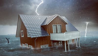 ballena, horizonte, tormenta, inundación, casa, canalón, rayo, tejado