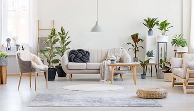 meble, wnętrze, rośliny, dywan, fotel, poduszka, lampa, kanapa, stolik
