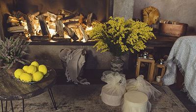 váza, skótkockás, tűzifa, citrom, doboz, szőnyeg, kandalló, asztal, csarab, rojt