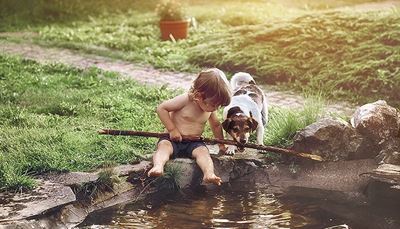 câine, baston, iarbă, mușcătură, lac, piatră, cale, copil
