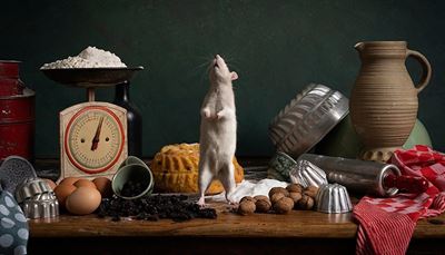 flour, carafe, walnuts, rollingpin, whiskers, pie, cutters, scales, eggs, rat