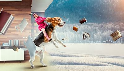 beagle, ryttare, skog, fantasi, dunjacka, datorskärm, snö, böcker