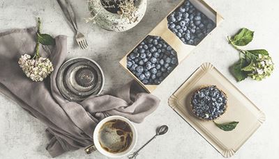 tyg, hortensia, förpackning, kopp, gaffel, kaffe, blåbär, blad, vas