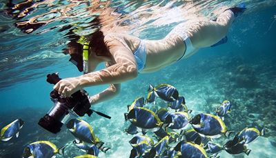 deep, snorkeling, seaworld, bikini, reef, camera, diver, seabed, fish, lens