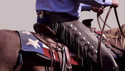 horse, cowboy, western, leather, saddle, reins, fringe, stud, mane, shirt, star