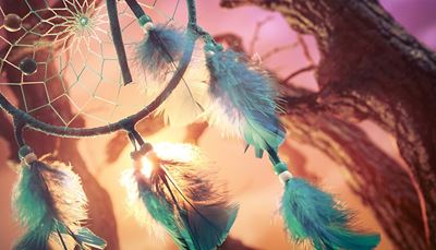 net, dreamcatcher, sunset, feather, thread, rhombus, beads, knot, tree