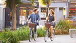 outing, flowerbed, necktie, tree, couple, wheel, bicycle, basket, spokes, dress, suit