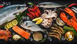 is, blekksprut, makrell, osters, krabbe, kreps, hummer, sitron, filet, sjomat, dorade, reke, dill, orret