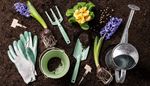 hoygaffel, vannkanne, hyacinth, primula, hagearbeid, hansker, plate, jord, botte, kule, fro