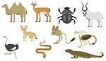 djur, springratta, skorpion, gaseller, antilop, skarabe, puckel, orm, varan, fennek, struts, kamel
