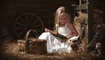 barn, kitten, basket, book, strap, hay, girl, wheel