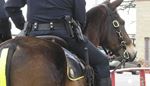 truncheon, policeman, reins, gun, horse, saddle, tail, holster, patrol, croup
