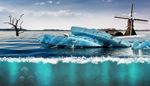 iceberg, ecologia, arvore, urso-polar, moinho, inundacao, medusa