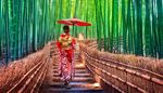 япония, ограждение, зонтик, лестница, кимоно, солома, фонарь, бамбук, лес, бант