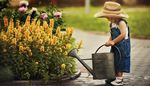 flowerbed, flowers, pavingstone, overalls, wateringcan, sneakers, gardener, hat