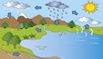 reed, precipitation, peak, groundwater, evaporation, rain, snow, arrow, watercycle, mushroom, sun