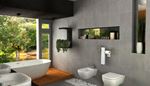 niche, bathroom, toiletbowl, toiletpaper, bidet, plant, towel, tile, sink, bath, view, vase