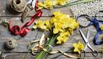 floraldesign, yellow, daffodil, scissors, twine, ribbon, shears, coil, stem