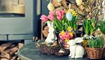 snowdrops, firewood, fireplace, branches, easter, daffodil, rabbit, tulip, nest, table, egg