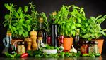 paprika, peppermill, pollen, rosemary, oilcan, herbs, garlic, basil, sage, dill, oil, mint