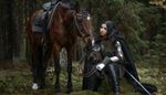 saddle, bridle, chainarmor, reins, forest, vambraces, armor, horse, sword, cape, boots