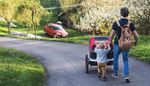 automobile, walking, pushbuggy, walkway, backpack, father, blossom, wheel, son, park, lawn
