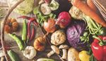 onion, celeryroot, mushroom, lemon, eggplant, zucchini, potatoes, carrot, parsley, cabbage, garlic, peppers