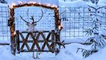 bauble, antlers, nostril, snow, reindeer, lantern, gate, garland, fir
