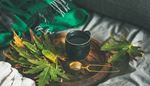 cup, cozy, tray, teastrainer, emerald, leaf, blanket, fringe, tea