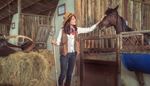 hay, pitchfork, stable, fringe, stall, gate, saddle, mane, frame, horse