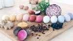 redcabbage, cuttingboard, parsley, powder, beetroot, blueberry, ginger, onion, coffee, eggs