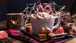 cone, candycane, garland, marshmallow, tartan, toffee, grapefruit, cup, flame, tray