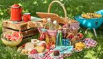 picnic, icecream, berries, baguette, grass, corn, straw, basket, watermelon, cheese, cone, box, grill