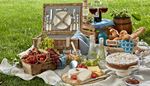 cheese, gooseberries, tablecloth, cakestand, berries, candies, baguette, bottle, grapes, barrel, flask, lantern, lawn, picnic, utensils