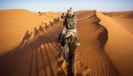 deserto, horizonte, mochila, dunas, caravana, pescoco, sombra, camelo, areia