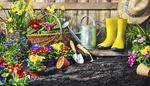 flowers, daffodil, rubberboots, soil, wateringcan, spatula, pot, gardening