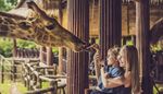 feed, giraffe, laughter, zoopark, column, tongue, ear, fence, neck