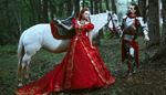 armor, forest, vambraces, middleages, saddle, cuirass, bridle, dress, lady, train, horse, knight, mane