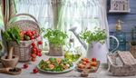 tomata, koyrtinamedantela, potisthri, sifoni, hmerologio, goydoxeri, salata, ladi, mhnas, solwmos