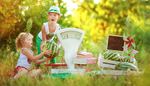 watermelon, measuringscale, childhood, scales, pinwheel, box, grass, children