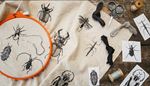 mandible, needle, embroidery, insect, antennae, scissors, fabric, stickbug, thread, beetle, hoop